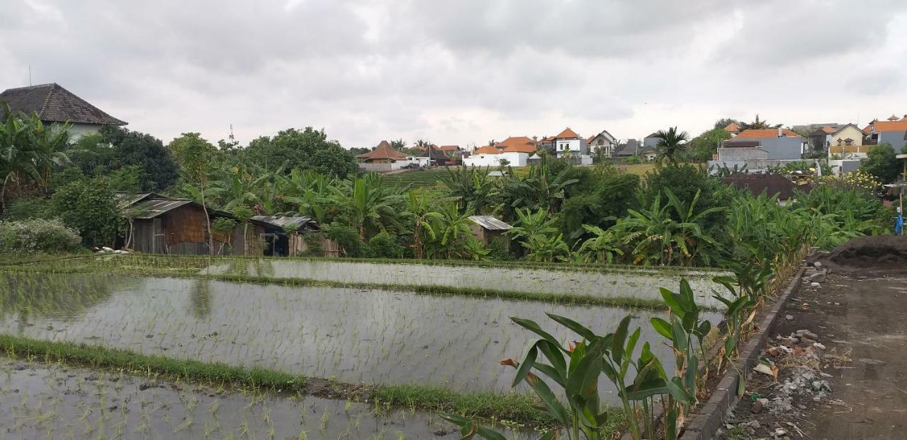 Pd Bali Guesthouse Canggu Buitenkant foto