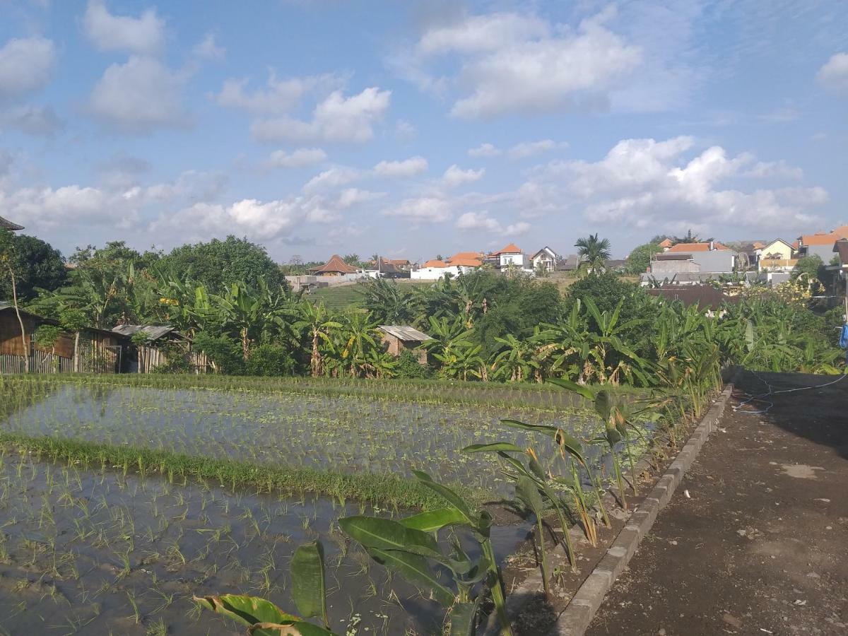 Pd Bali Guesthouse Canggu Buitenkant foto