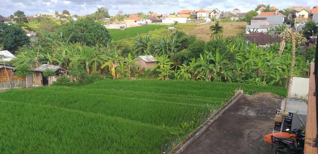Pd Bali Guesthouse Canggu Buitenkant foto